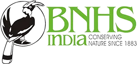 logo-a1-11-7